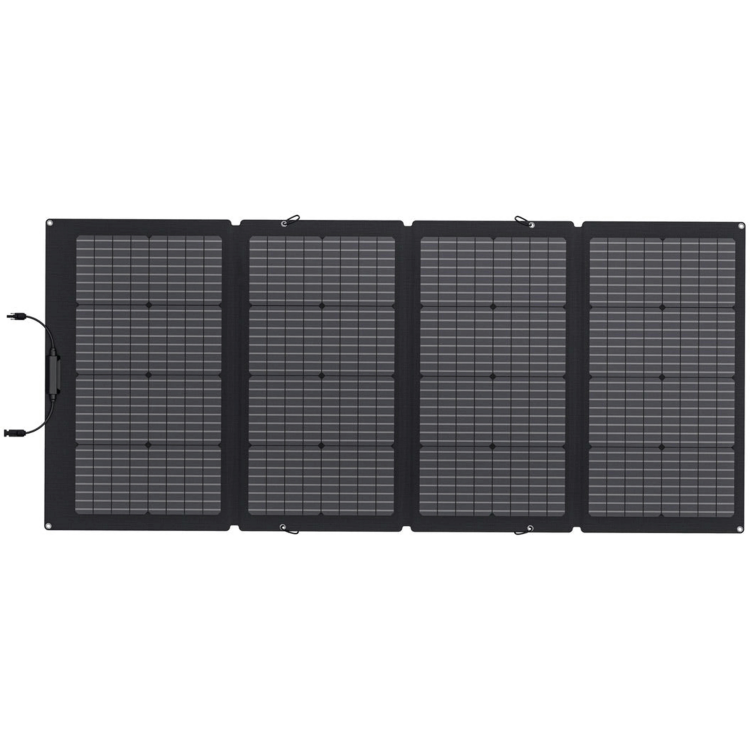 Солнечная панель EcoFlow 220W Solar Panel (Solar220W) фото 