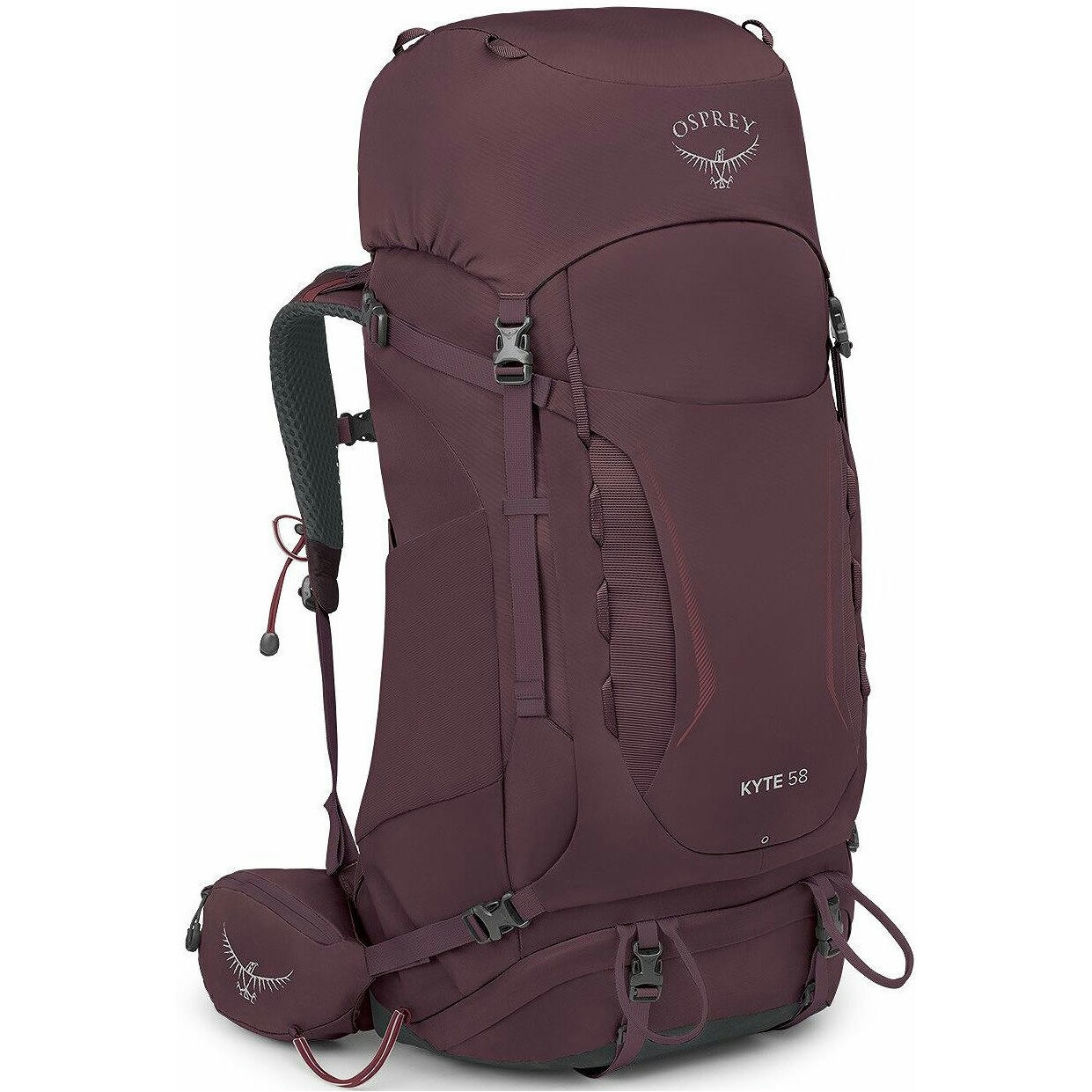 Рюкзак Osprey Kyte 58 elderberry purple - WM/L - фиолетовый фото 