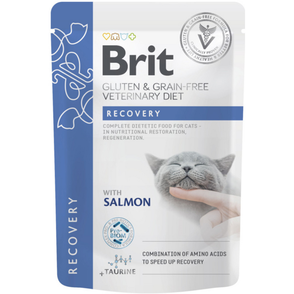 

Влажный корм для котов Brit GF Vetetinary Diet Recovery с лососем 85г