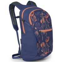 Рюкзак Osprey Daylite Plus wild blossom print/alkaline O/S синий