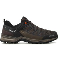 Кросівки чоловічі Salewa Ms Mtn Trainer Lite Gtx 61361 7512 44 коричневий