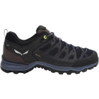 Кросівки чоловічі Salewa Ms Mtn Trainer Lite Gtx 61361 971 46 чорний