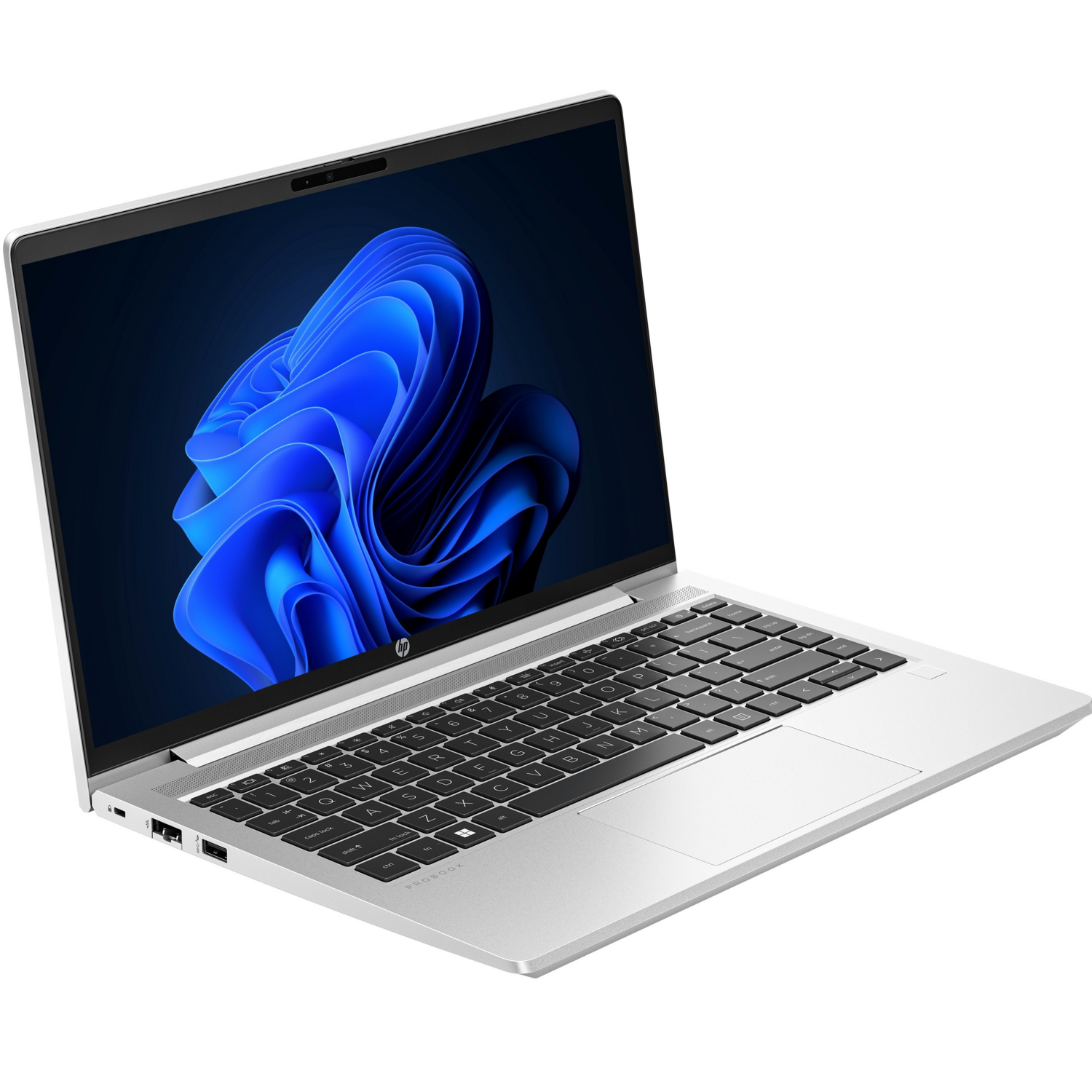 Ноутбук HP Probook 445-G10 (85C00EA) фото 