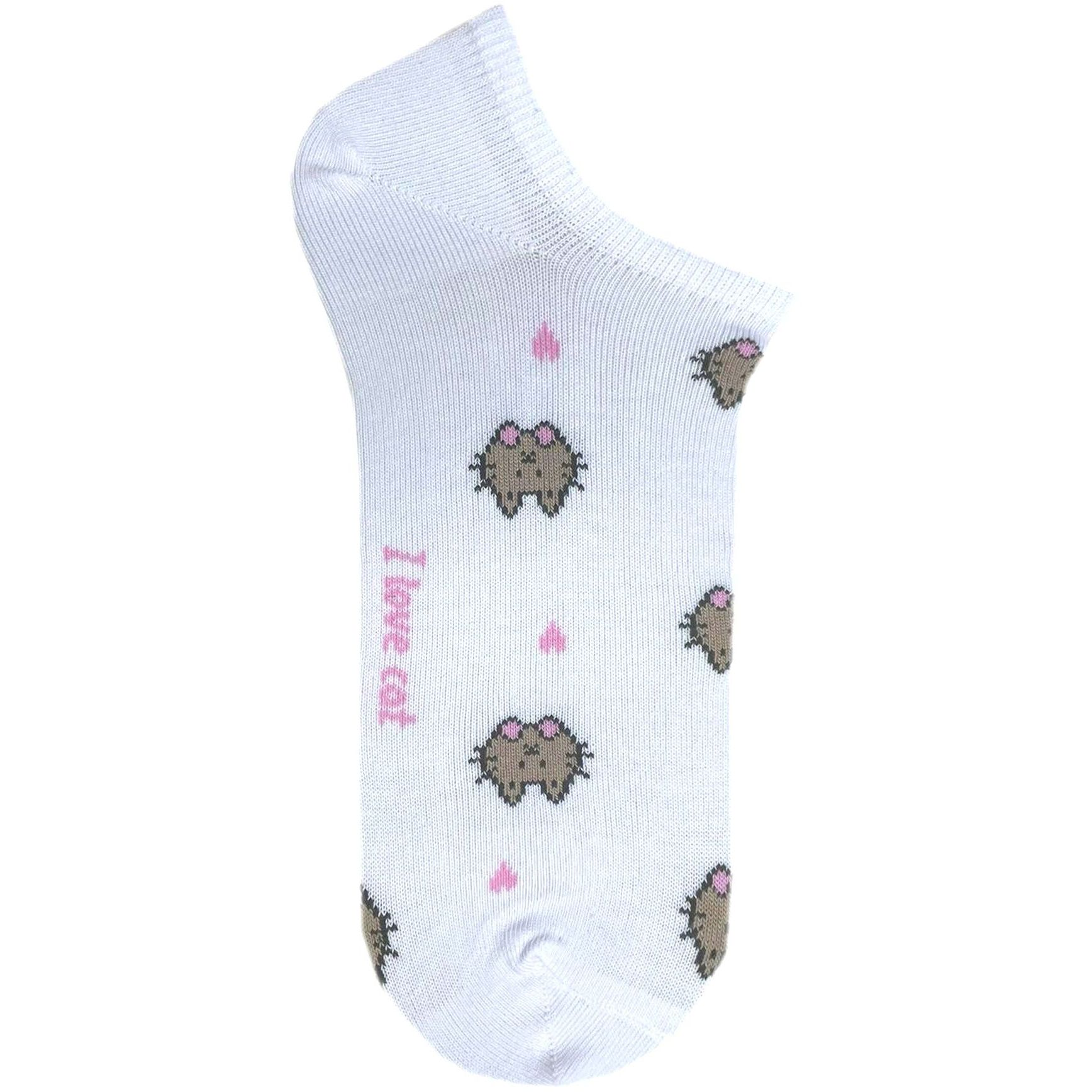 Носки женские Premier Socks 36-40 1 пара белые с принтом Коты (4820163318875) фото 1