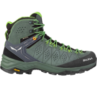 Черевики чоловічі Salewa ALP Trainer 2 Mid GTX Mns 61382 5322 40 зелений