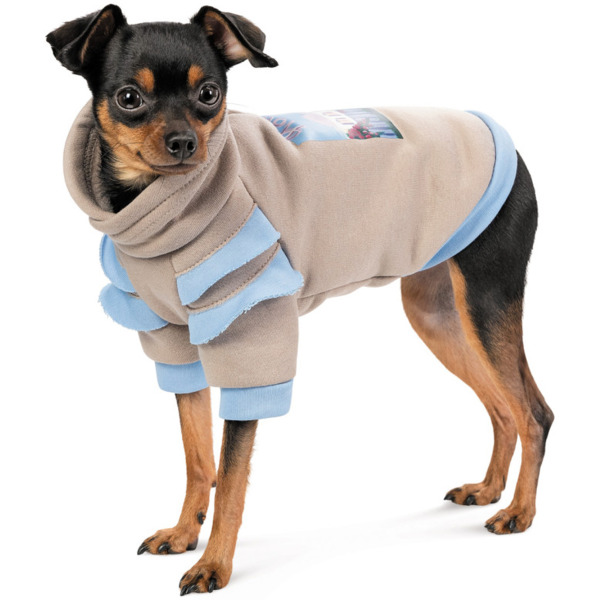 

Худи для собак Pet Fashion Home размер ХS2 бежевый