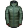 Пуховая куртка Mammut ( 1013-02660 ) Meron IN Hooded Jacket 2024 Woods-Black XL зеленый