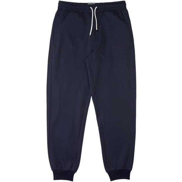 

Спортивные штаны DC ( ADYFB03057 ) RIOT 2 M OTLR 2023 BYJ0 Navy Blazer - Solid L темно-синие