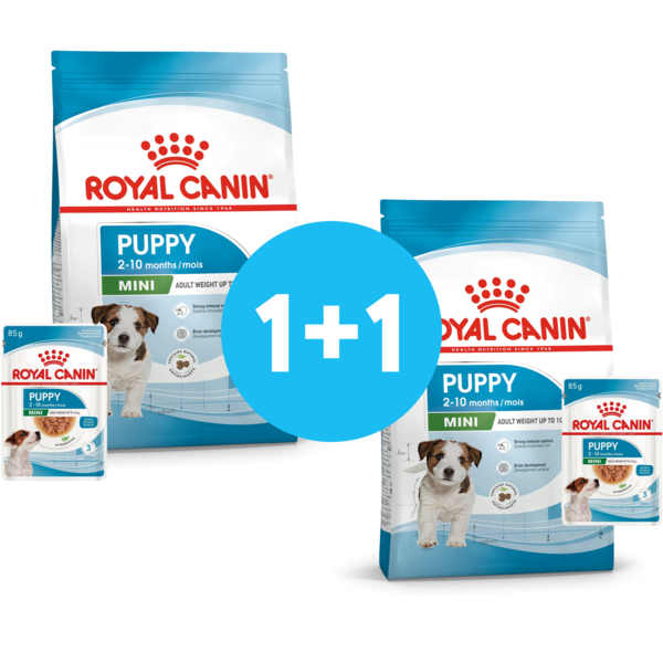 

Набор для щенков мелких пород собак Сухой корм Royal Canin Puppy Mini 800г + Влажный корм Royal Canin Mini Puppy 85г