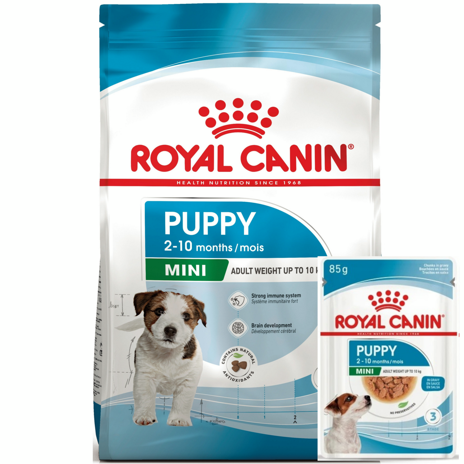 Набор для щенков мелких пород собак Сухой корм Royal Canin Puppy Mini 800г + Влажный корм Royal Canin Mini Puppy 85г фото 