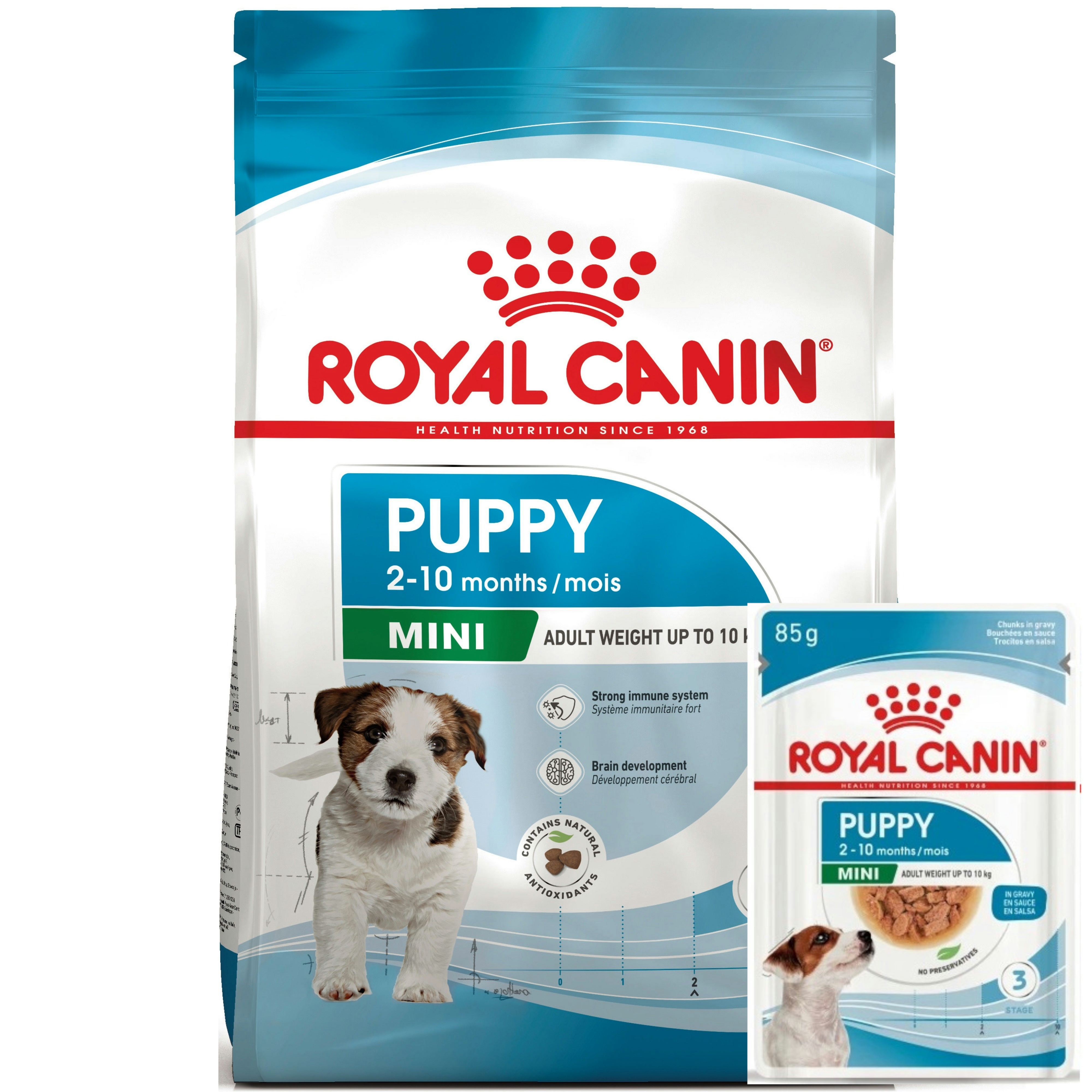 Набор для щенков мелких пород собак Сухой корм Royal Canin Puppy Mini 800г + Влажный корм Royal Canin Mini Puppy 85г фото 1