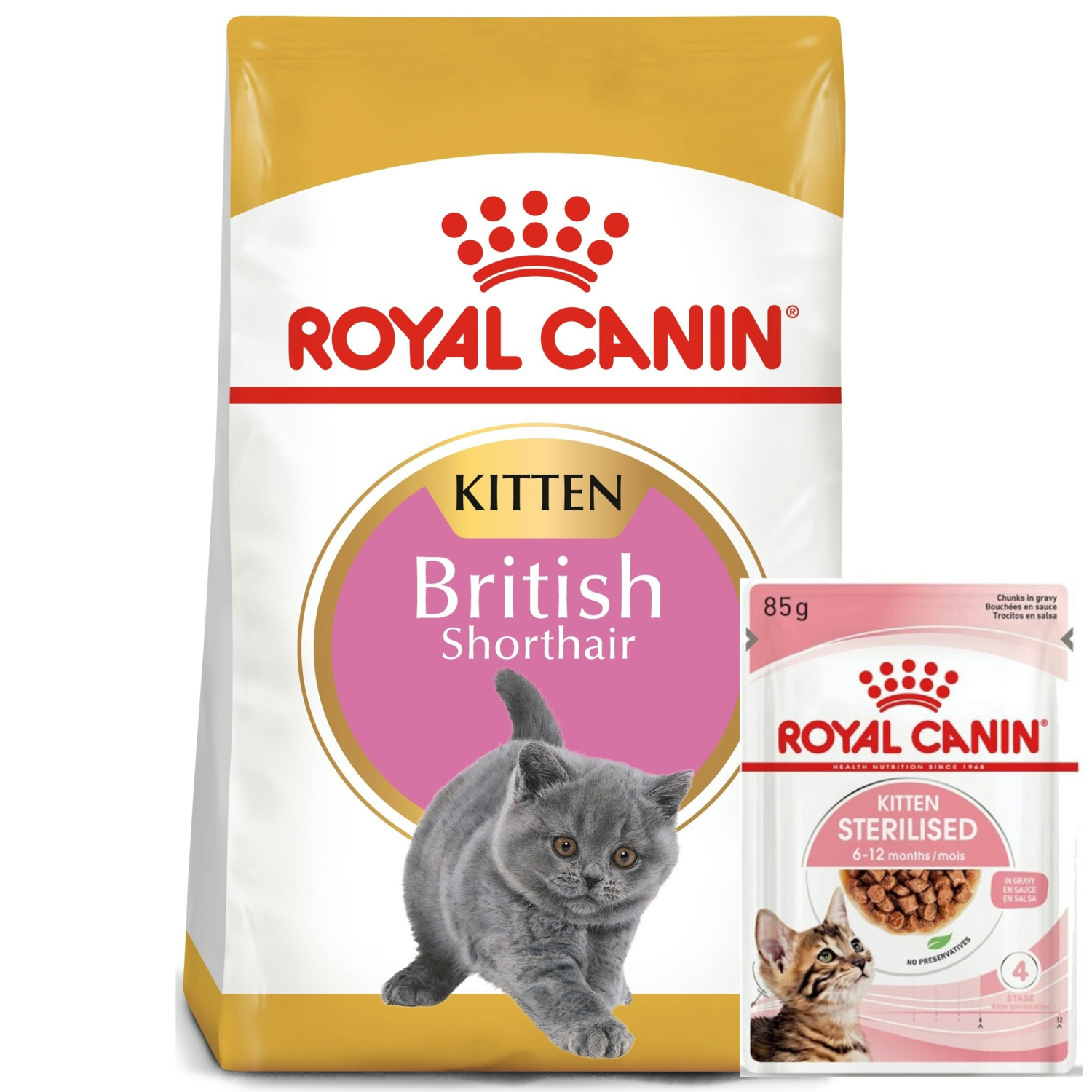 Набор для котят Сухой корм Royal Canin Kitten British Shorthair 400г + Влажный корм Royal Canin Kitten Sterilised 85г фото 