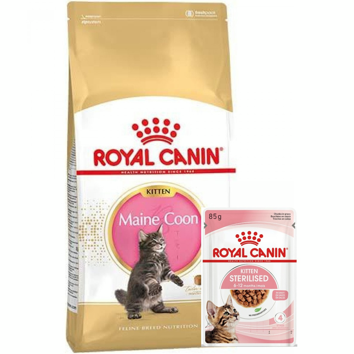 Набор для котят Сухой корм Royal Canin Mainecoon Kitten 400г + Влажный корм Royal Canin Kitten Sterilised 85г фото 