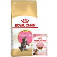 Набор для котят Сухой корм Royal Canin Mainecoon Kitten 400г + Влажный корм Royal Canin Kitten Sterilised 85г