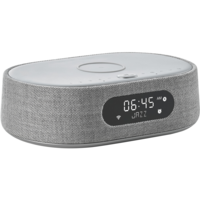 Акустическая система Harman Kardon Citation Oasis FM Grey (HKCITAOASISFMGRYEP)