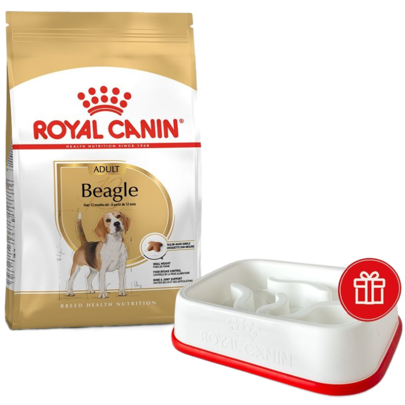 Сухий корм для собак породи Бігль Royal Canin Beagle Adult 3кг + годівниця в подарунокфото