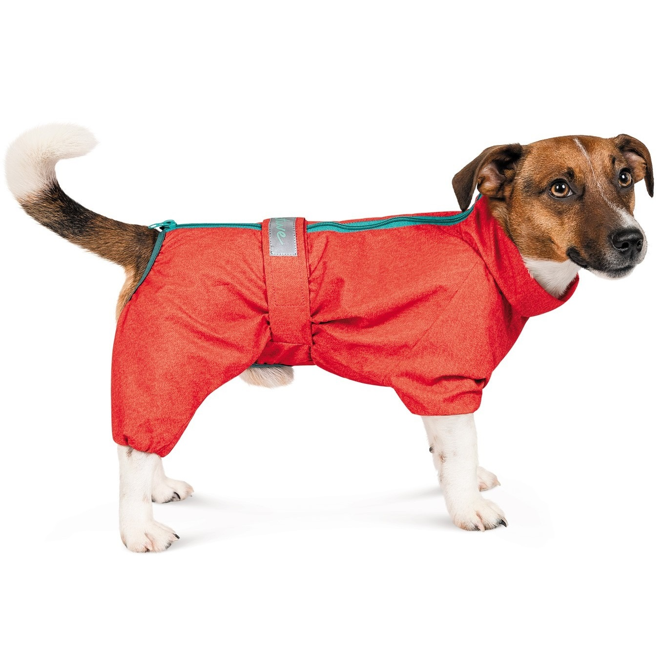 Дождевик для собак Pet Fashion Rain размер 5XL красный фото 