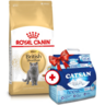 Сухой корм для кошек Royal Canin British Shorthair Adult 4 кг + Наполнитель Catsan 5 л (11683) (1272120756443)