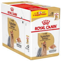 Влажный корм для собак породы Йоркширский-терьер Royal Canin Yorkshire Adult 8 + 4 * 85г