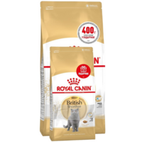 Сухий корм для котів породи Британська короткошерста Royal Canin Kitten British Shorthair 2кг + 400г