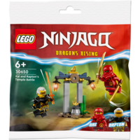 LEGO 30650 Ninjago Битва за Храм Кая и Раптона