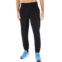 Брюки мужские Asics logo sweatpant 2031E189-002 S черные