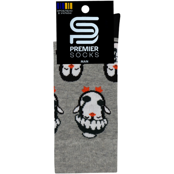 

Носки мужские Premier Socks 27 1 пара с рисунком (4820163324791)