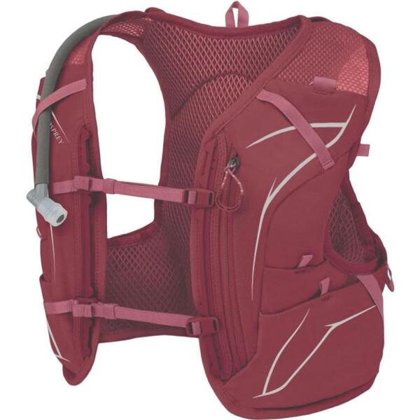 Рюкзак Osprey Dyna 6 009.3610 WM бордовый