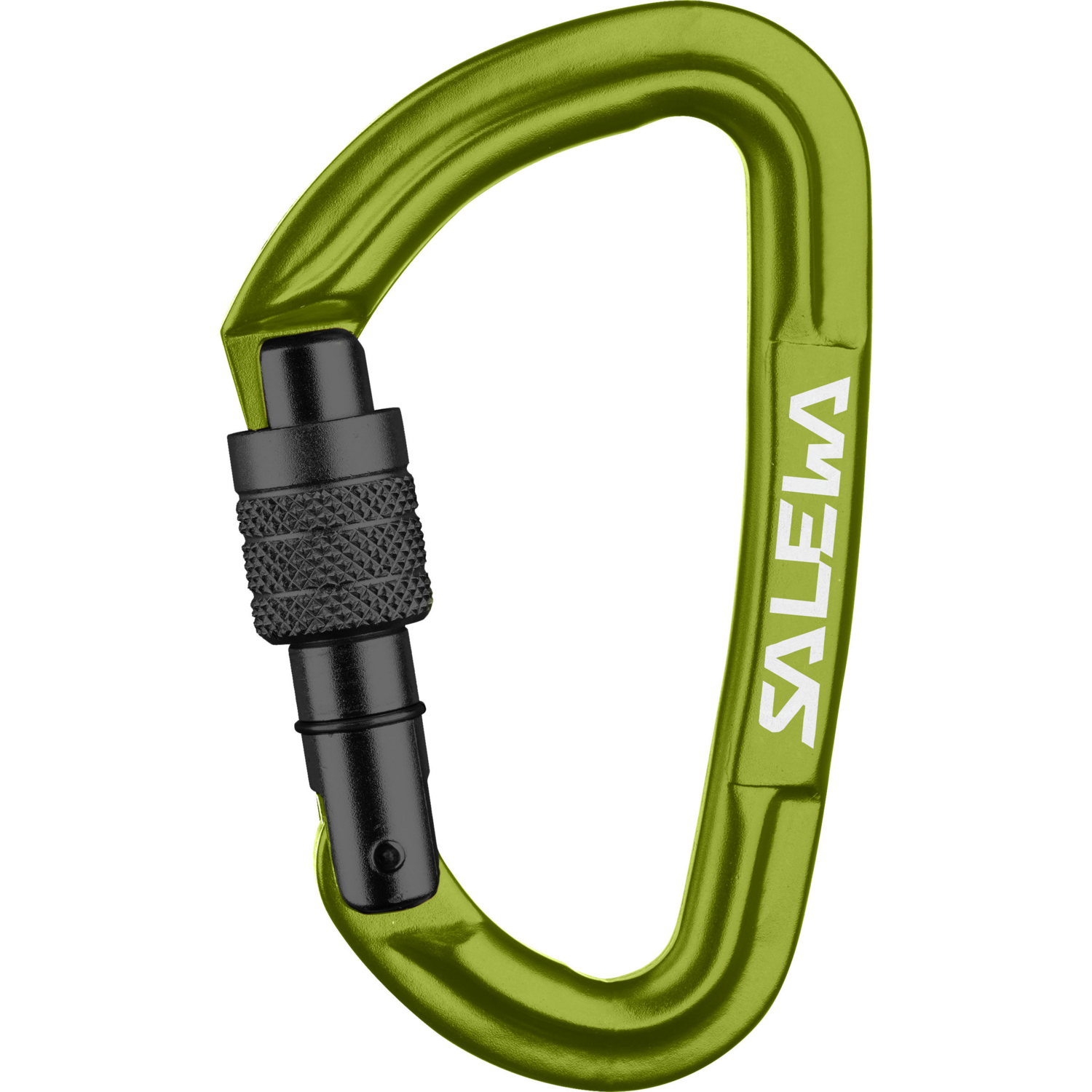 Карабін Salewa HOT G3 SCREW 013.003.1323 UNI зеленийфото