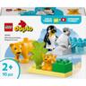 LEGO 10442 DUPLO Town Семейство диких животных: Пингвины и Львы