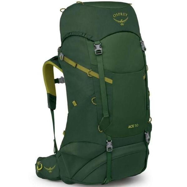

Рюкзак Osprey Ace 50 green canopy O/S зеленый
