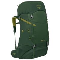 Рюкзак Osprey Ace 38 green canopy O/S зеленый