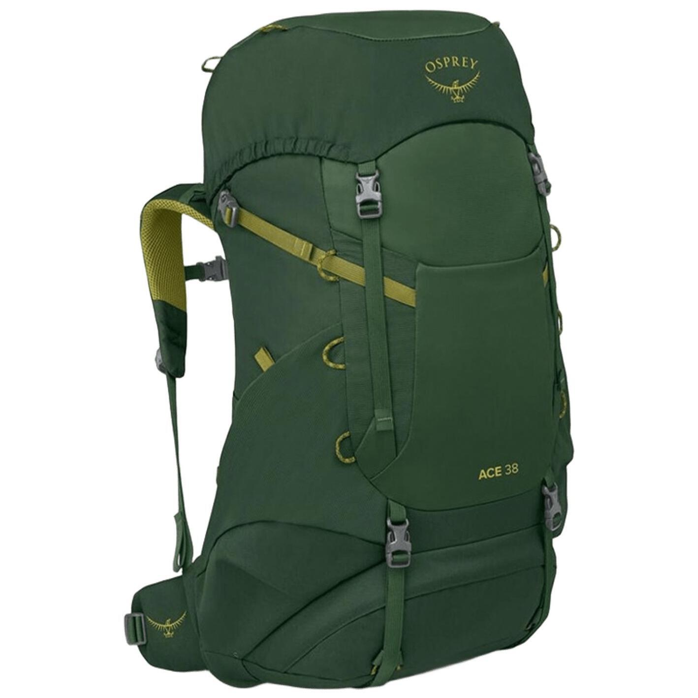 Рюкзак Osprey Ace 38 green canopy O/S зеленийфото1
