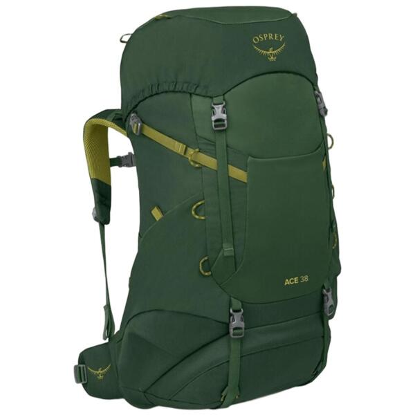 

Рюкзак Osprey Ace 38 green canopy O/S зеленый