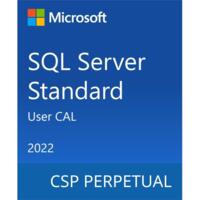 Програмный продукт Microsoft SQL Server 2022 - 1 User CAL