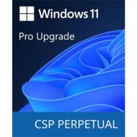 Програмный продукт Microsoft Windows 11 Pro Upgrade