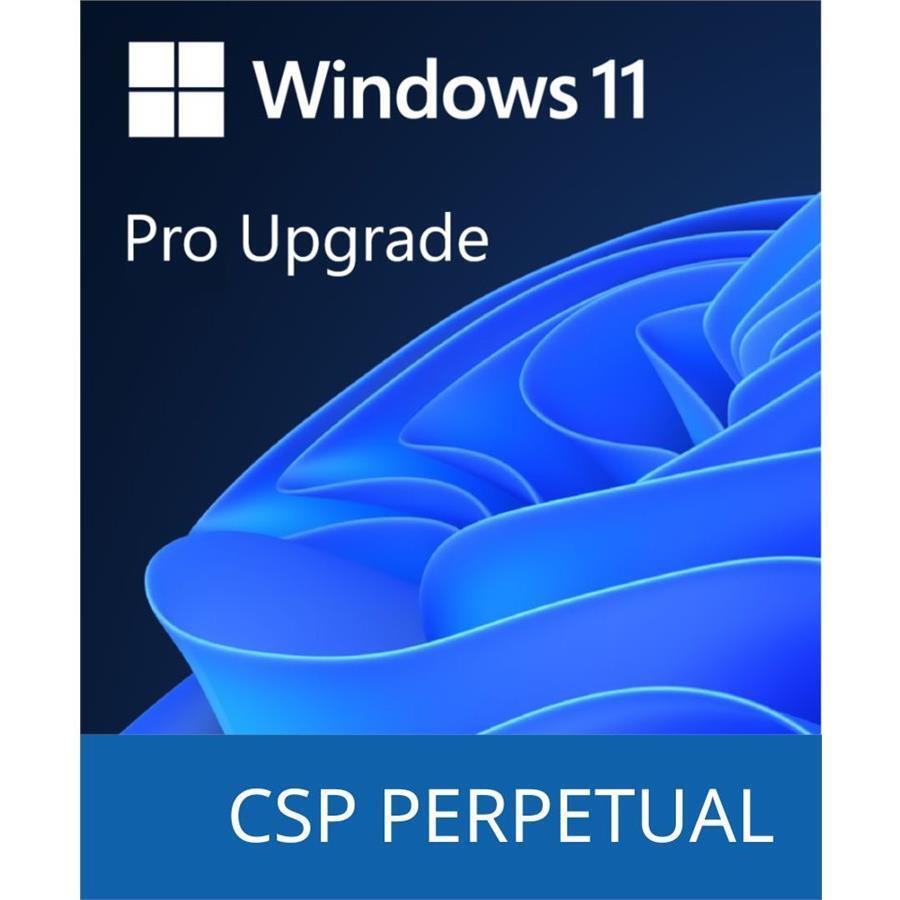 Програмный продукт Microsoft Windows 11 Pro Upgrade фото 1