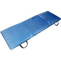 Мат гимнастический складной Toorx Professional Foldable 178х61х5см (MAT-178)