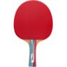 Ракетка для настільного тенісу Gewo Smash FL (186000001)