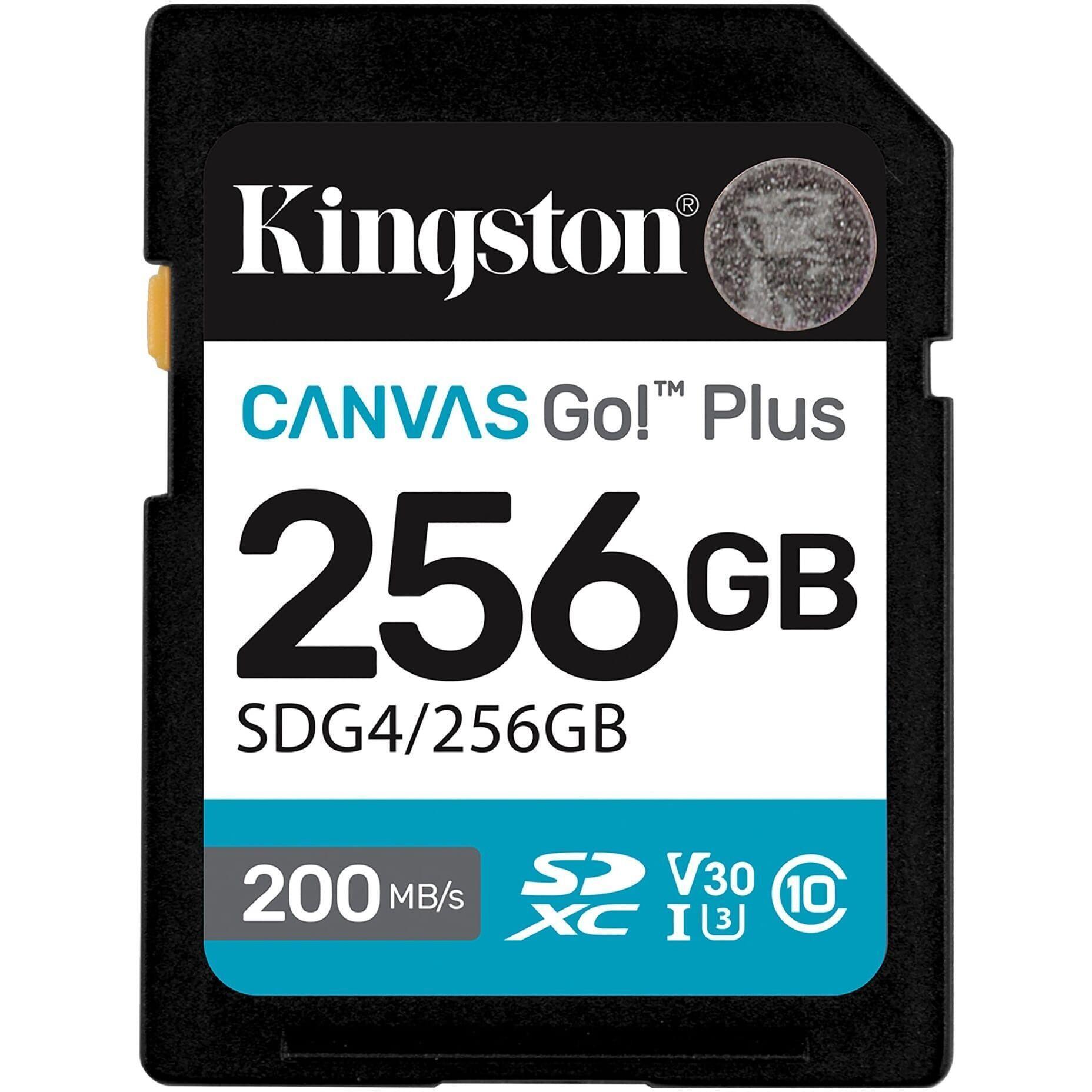 Карта пам'яті Kingston SD 256GB C10 UHS-I U3 V30 R200/W160MB/s (SDG4/256GB)фото1