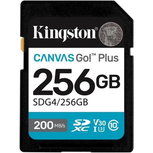 

Карта памяти Kingston SD 256GB C10 UHS-I U3 V30 R200/W160MB/s (SDG4/256GB)