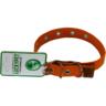 Ошейник для собак Lucky Pet 2,5*17-41см брезентовый одинарный с кожей оранжевый