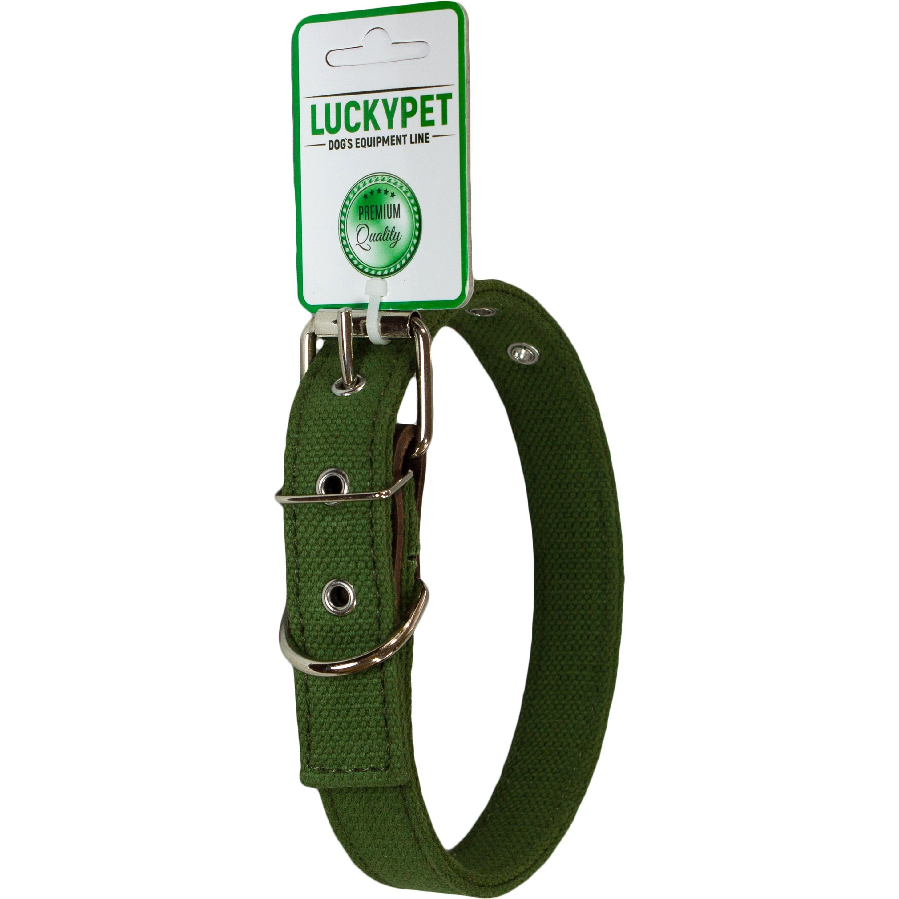 Ошейник для собак Lucky Pet 2,5*31-40см брезентовый двойной с кожей зеленый фото 1