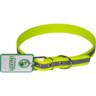 Ошейник для собак Lucky Pet 2,5*48-58см с водонепроницаемой ленты светоотражающий салатовый