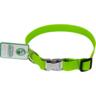 Ошейник для собак Lucky Pet 2,5*25-35см с водонепроницаемой ленты с металлическим фастексом салатовый