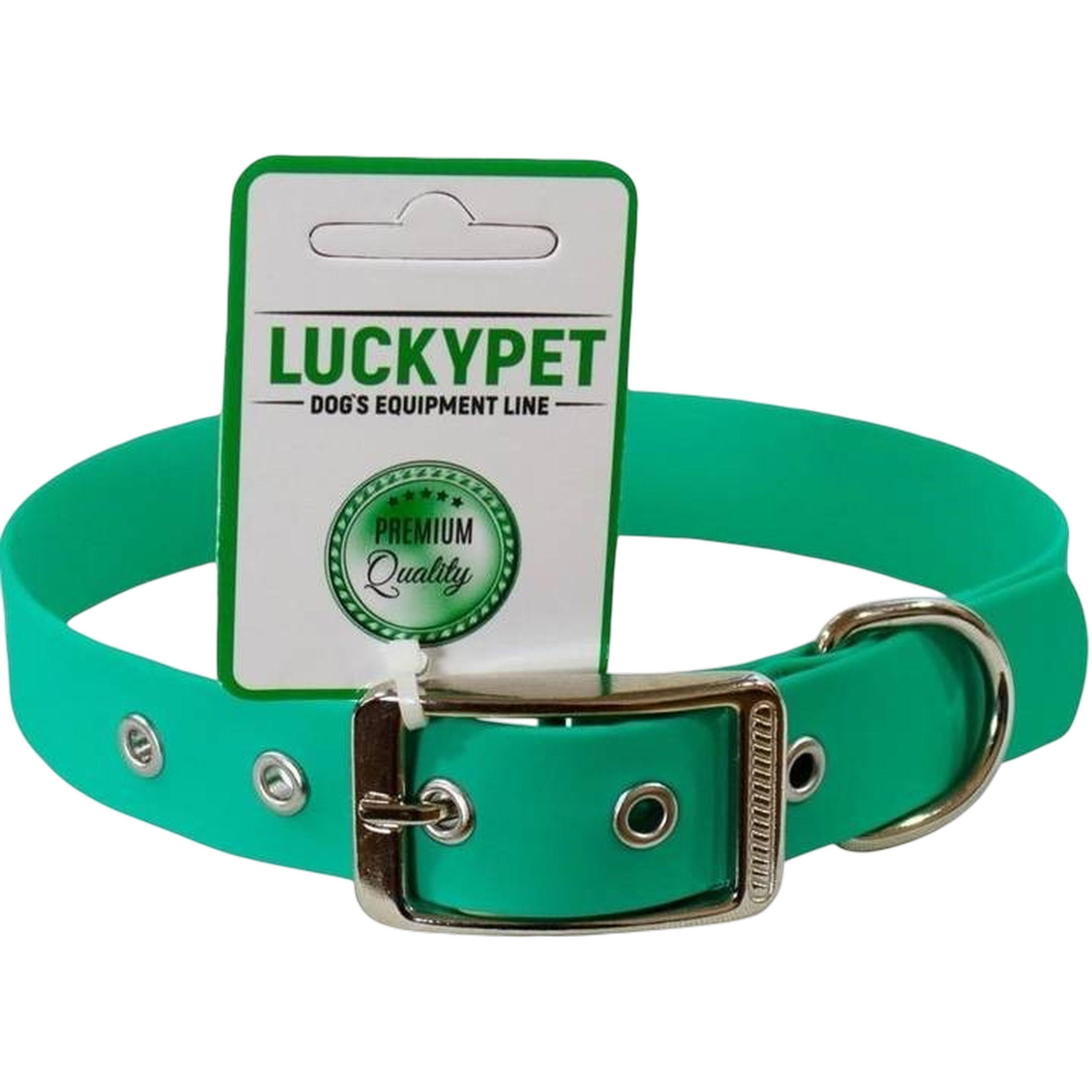 Ошейник для собак Lucky Pet 2,5*30-40см с водонепроницаемой ленты мятный фото 1