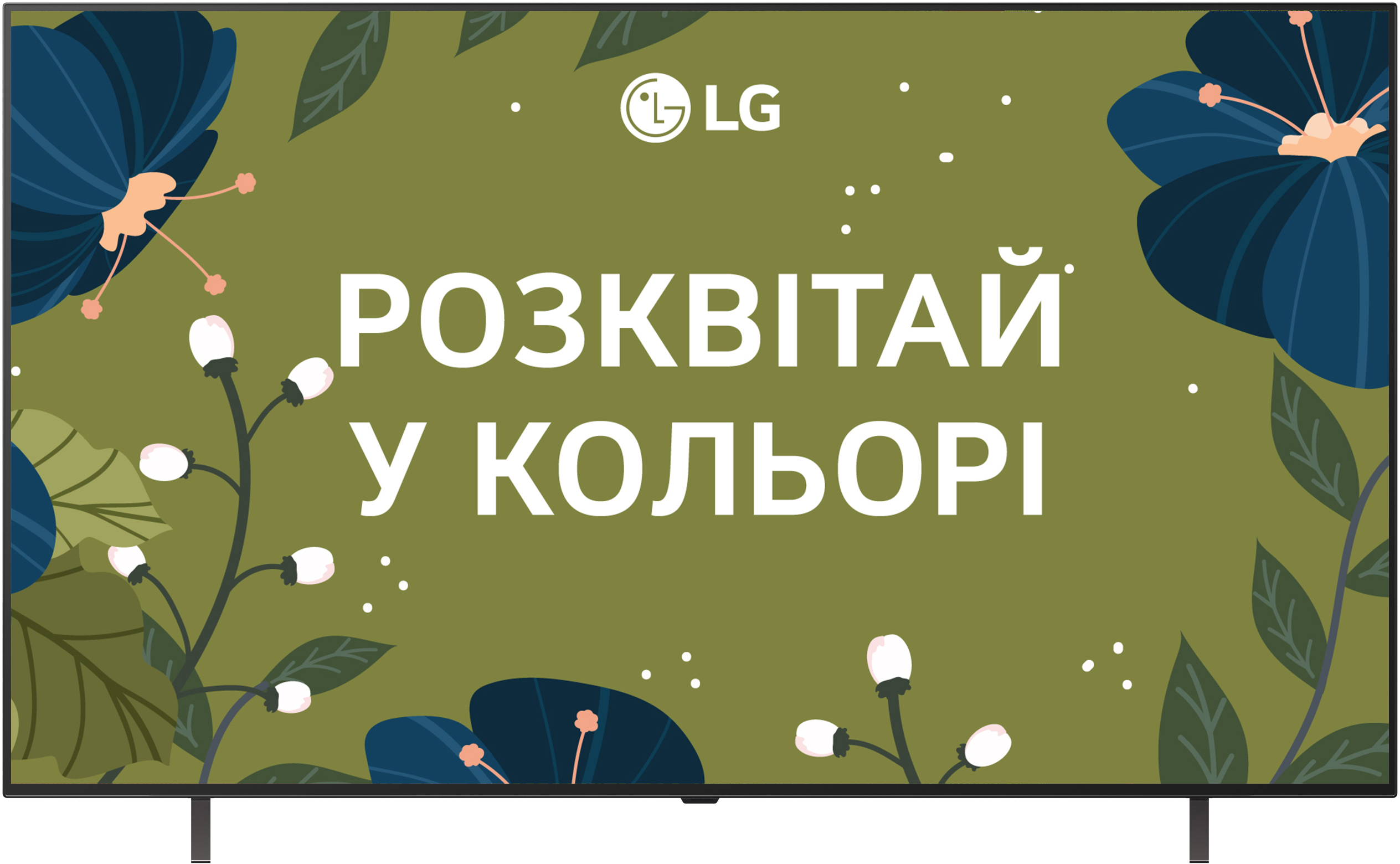 Телевізор LG OLED 65B5 (OLED65B56LA)фото1