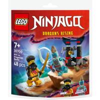 LEGO 30700 Арин против Дракона: Битва V29 Recruitment Bags