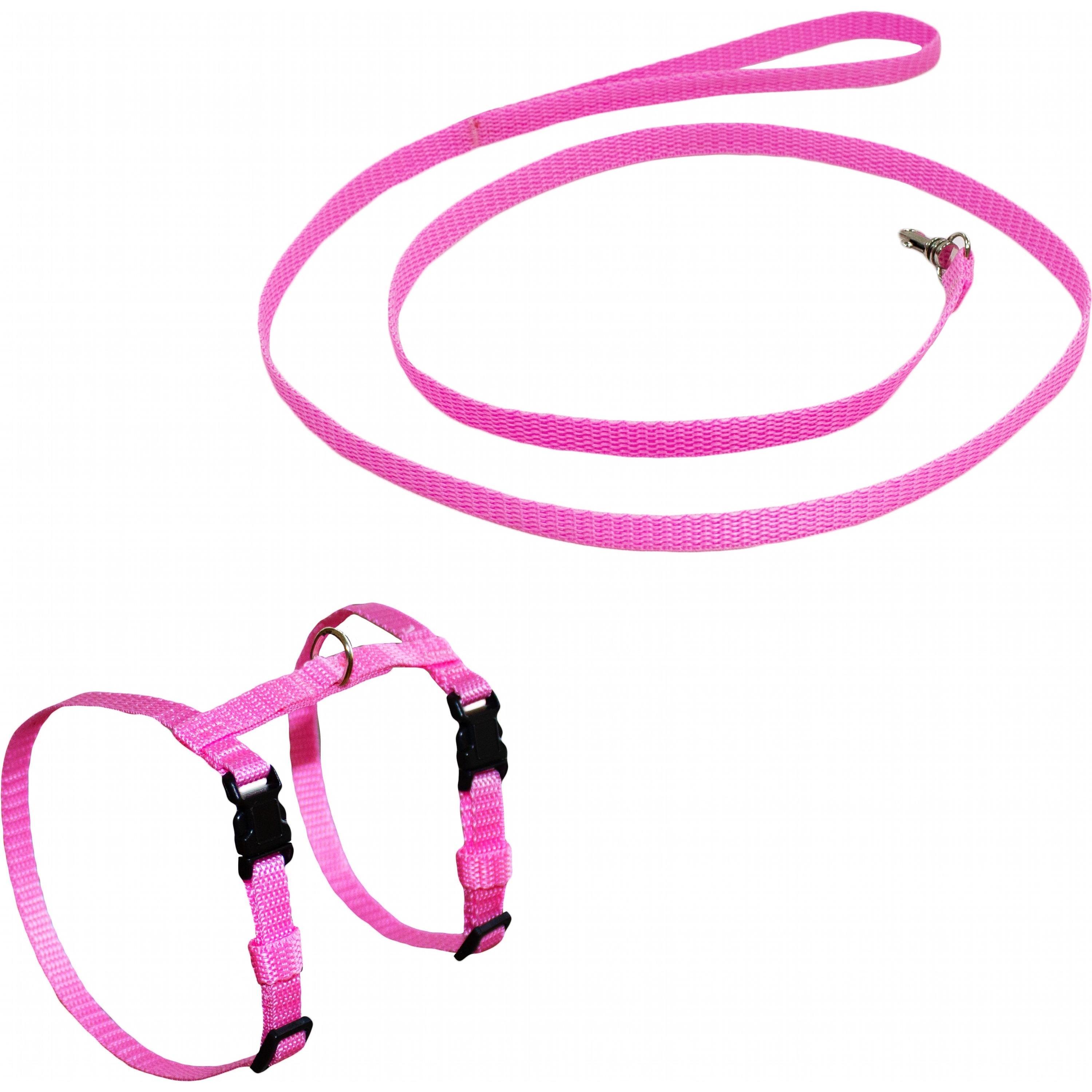 Комплект Lucky Pet повідець+шлея капроновий Н-подібний рожевий 10мм/22-32см/24-35смфото1