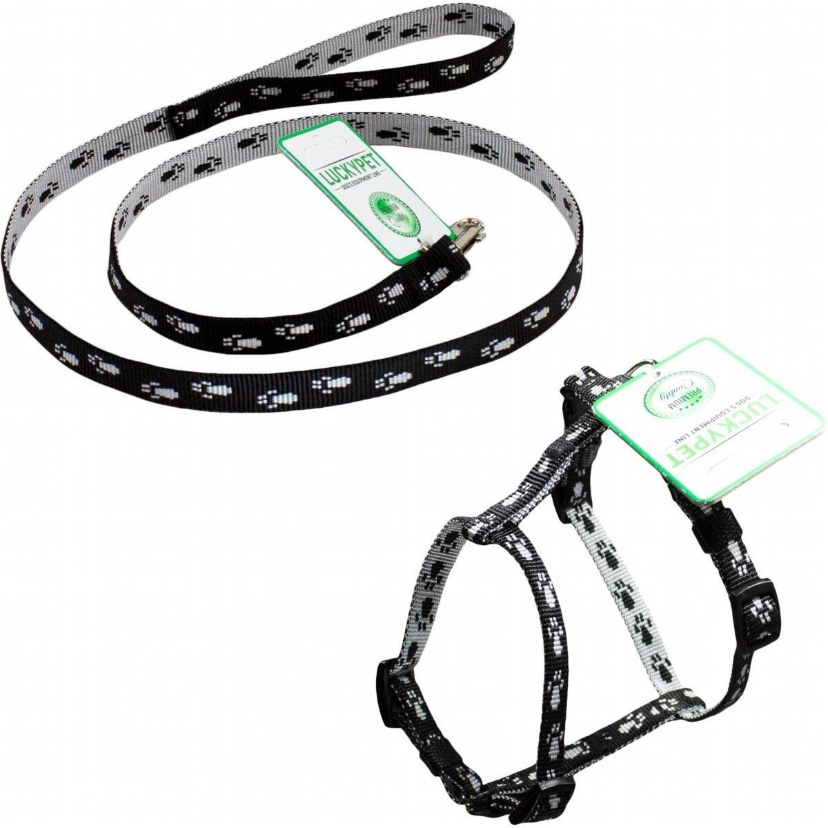 Комплект Lucky Pet поводок+шлея капроновый Н-образный Лапки черно-серый 10мм/22-32см/24-38см фото 